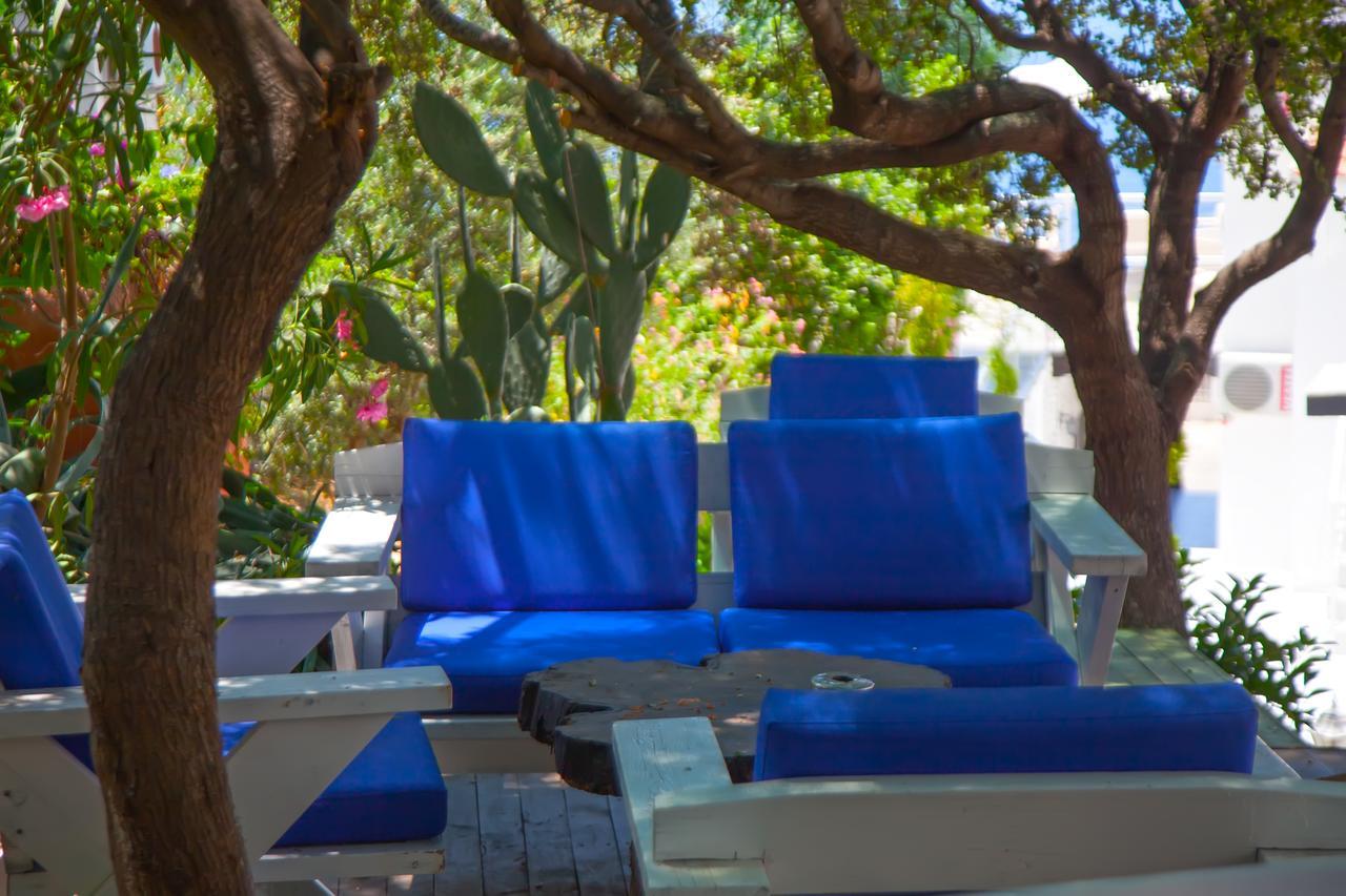 Peace Hotel كاس المظهر الخارجي الصورة