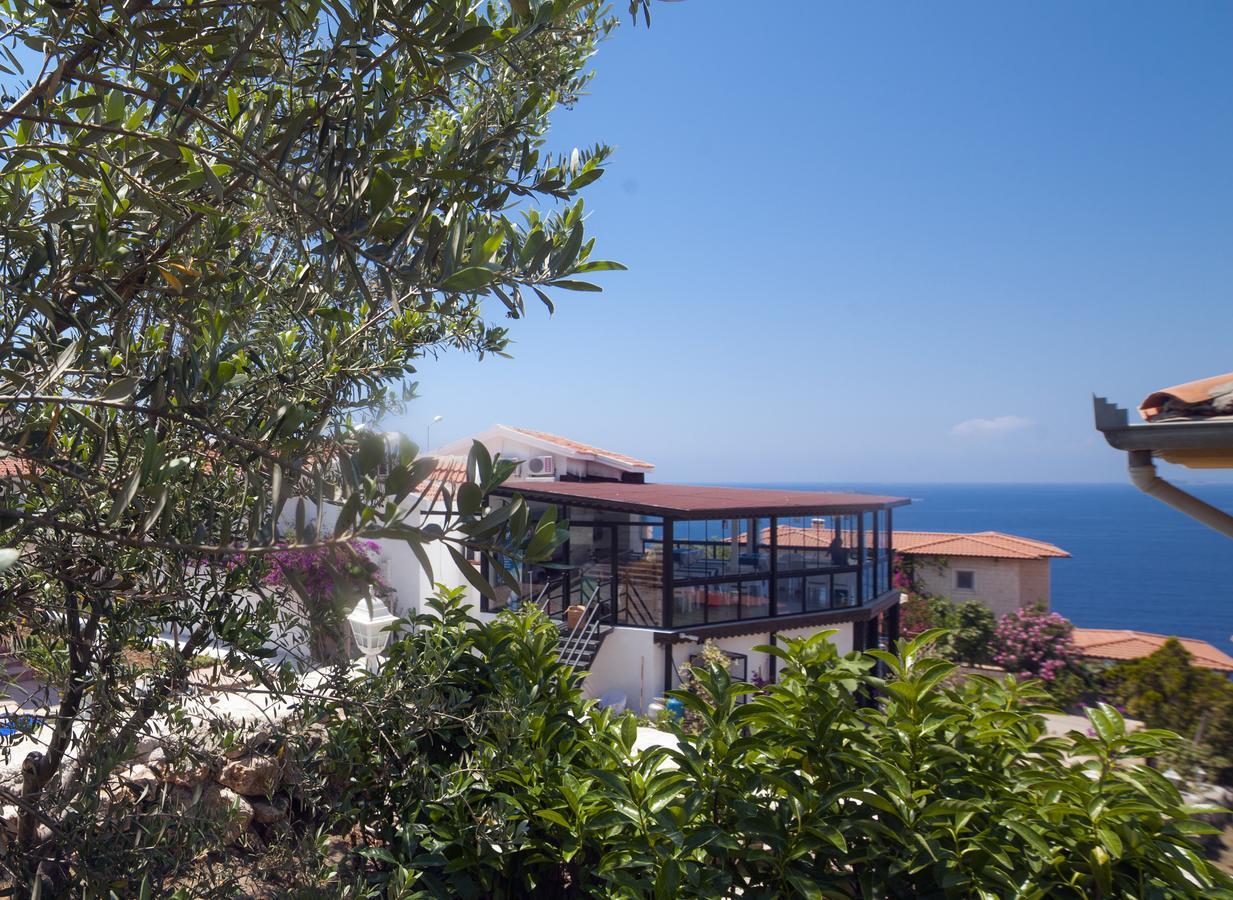 Peace Hotel كاس المظهر الخارجي الصورة